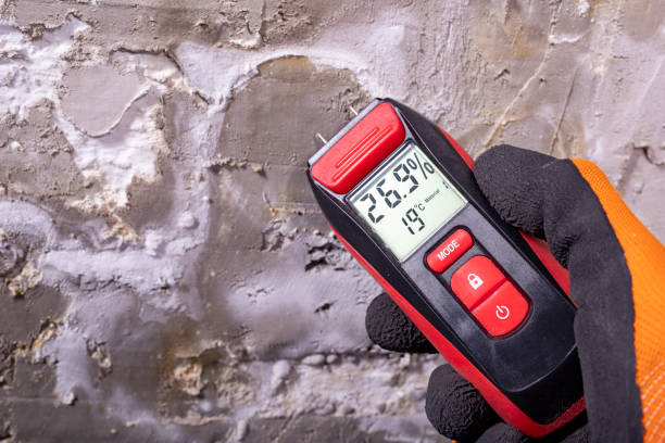 Best Post-Flood Mold Remediation in Heathcote, NJ