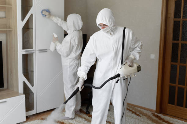 Best White Mold Remediation in Heathcote, NJ