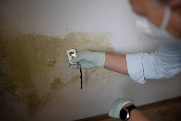 Best Mold Testing and Inspection Services in Heathcote, NJ