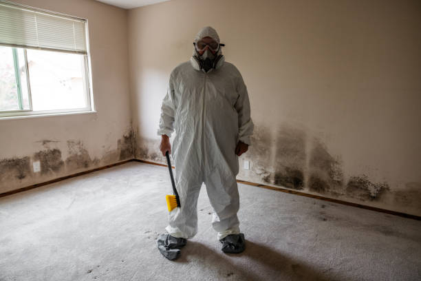 Best Mold Remediation for Schools in Heathcote, NJ